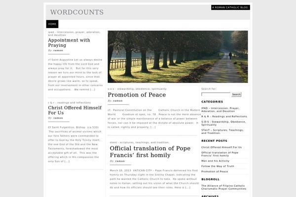 Magzine theme site design template sample