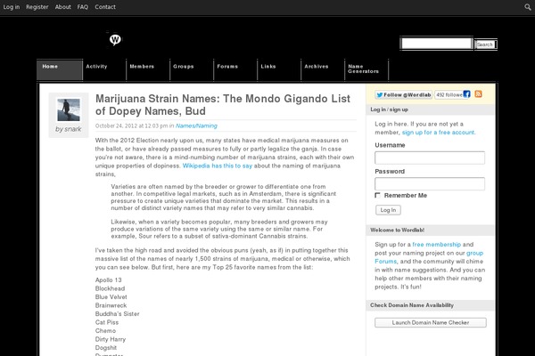 KadenceWP theme site design template sample