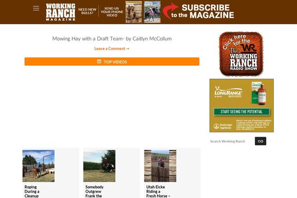 Dynamik Gen theme site design template sample