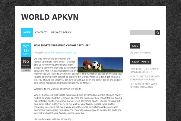 BoldR Lite theme site design template sample