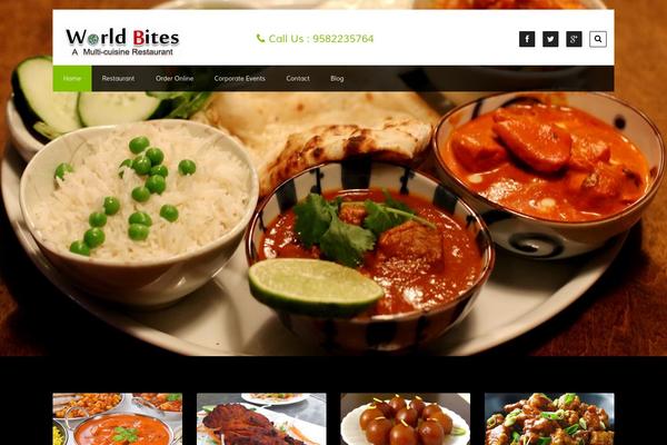Site using AeroLeads Contact Us Details plugin