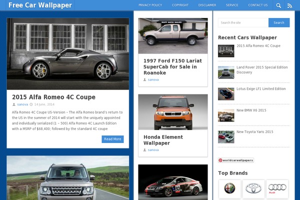 Hot Topix theme site design template sample
