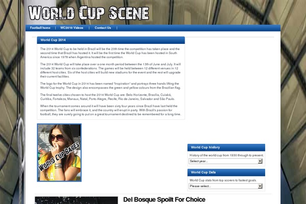 Premiumnews theme site design template sample