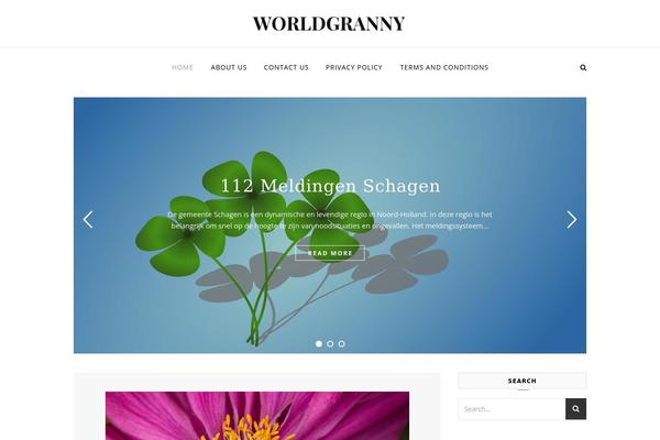 Savona theme site design template sample