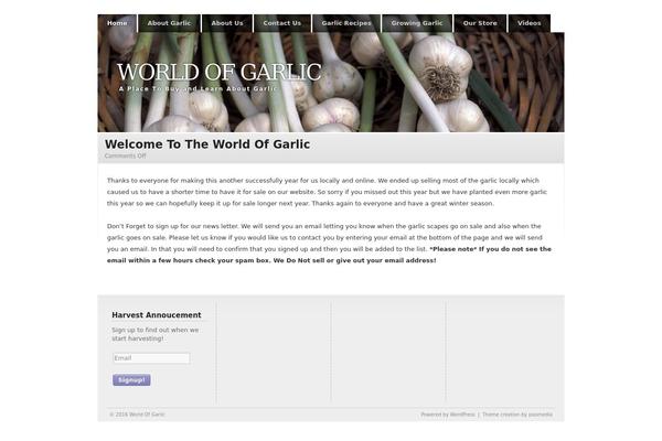 Clear Style theme site design template sample