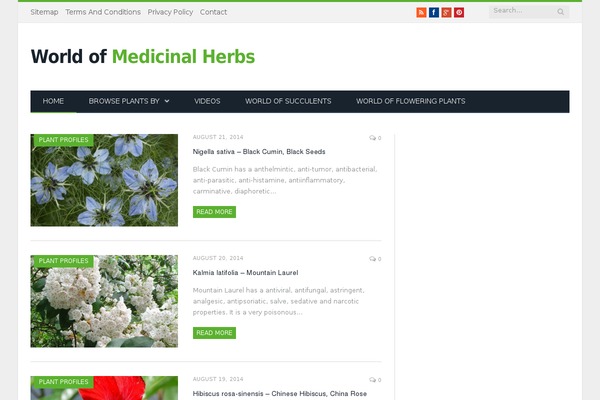 SmartMag theme site design template sample