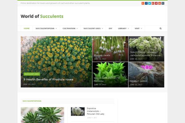 Site using Feedburner Alternative and RSS Redirect plugin