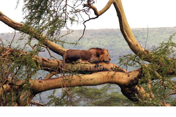 Site using Formidable Forms plugin