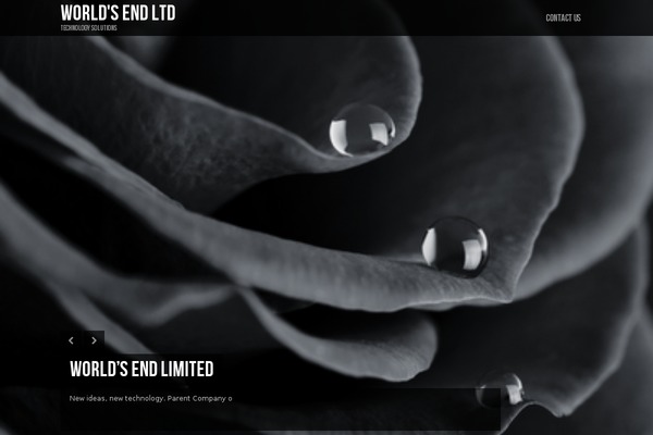 Lensa theme site design template sample