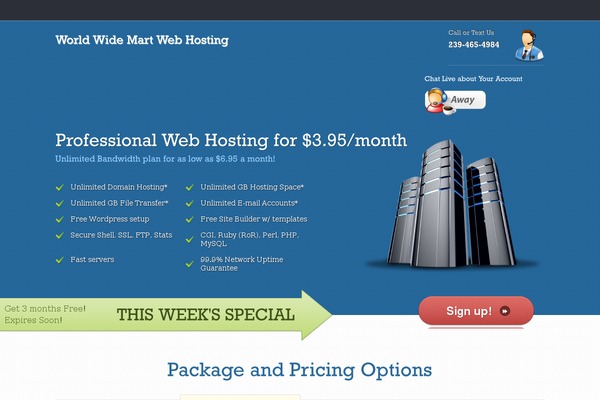 Webhosting theme site design template sample