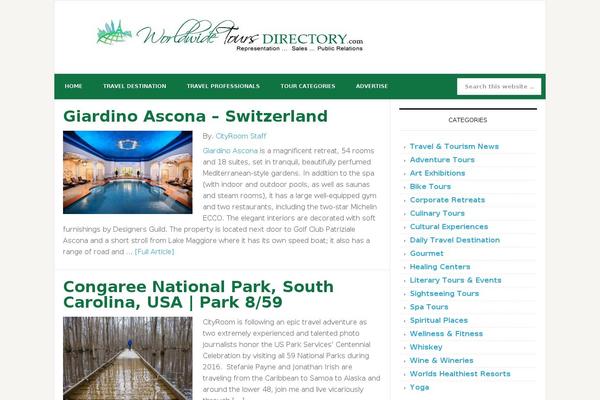 News Pro theme site design template sample