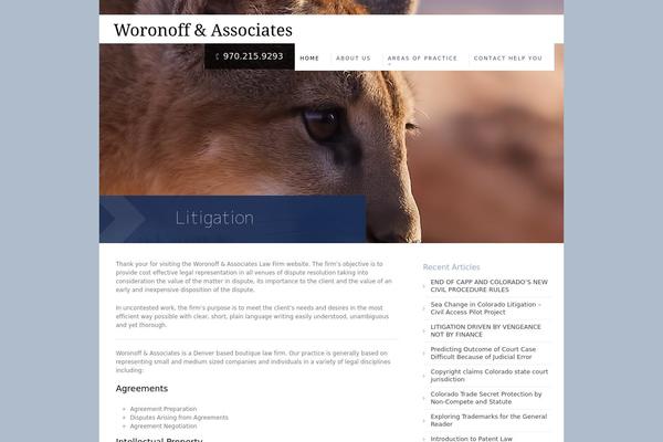 woronofflaw.com site used Firm