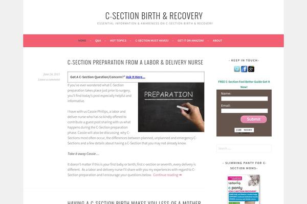 Sela theme site design template sample