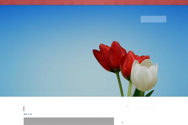 Site using Drop Caps plugin