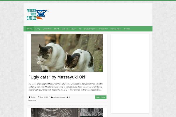 worthwhilesmile.com site used Voice2