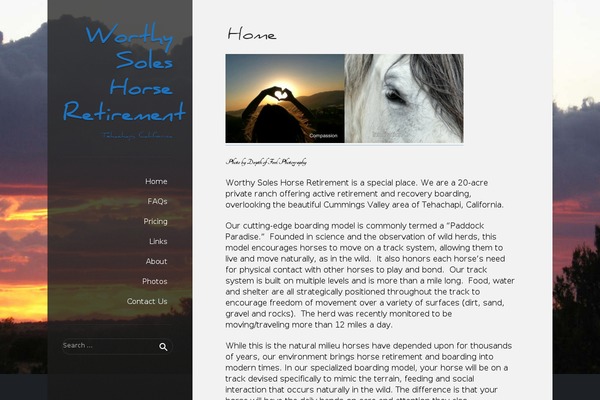 Displace theme site design template sample