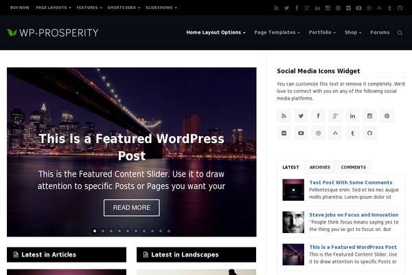 prosperity-child-1 theme websites examples