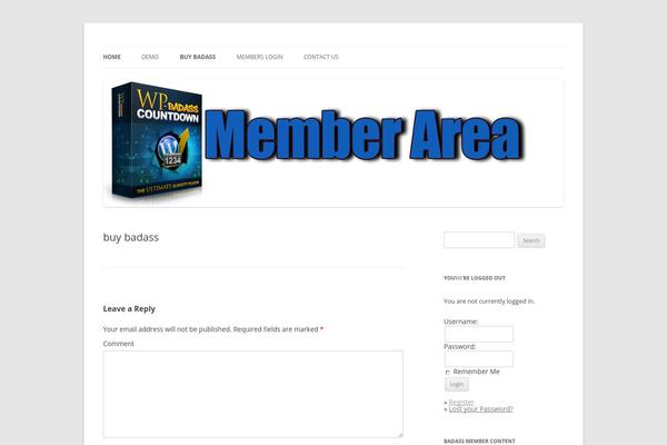 WordPress website example screenshot