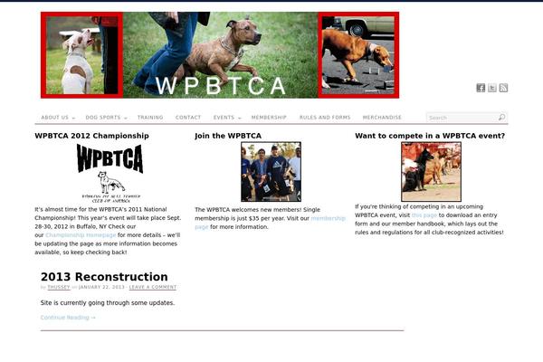 PlatformPro theme site design template sample