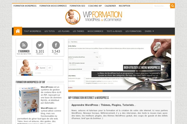 Site using Wpappninja plugin