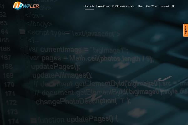 Discy theme site design template sample