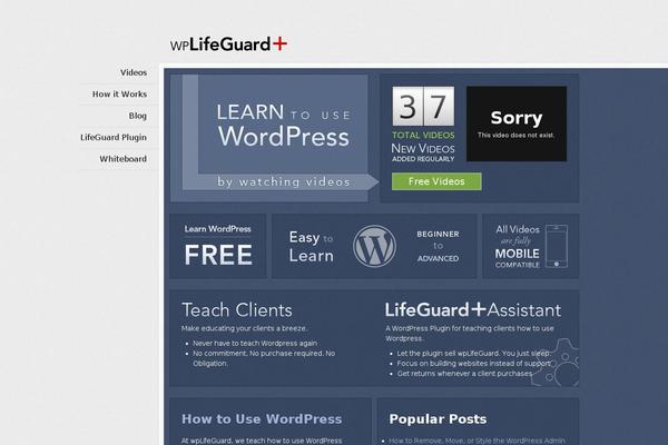 lifeguard theme websites examples
