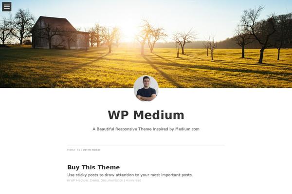 wpmedium theme websites examples