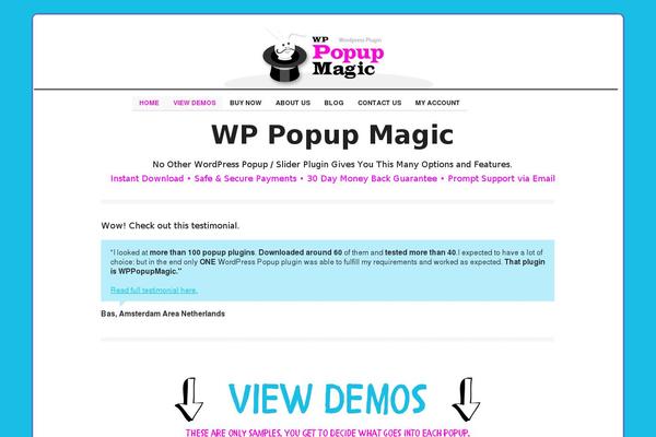 WordPress website example screenshot