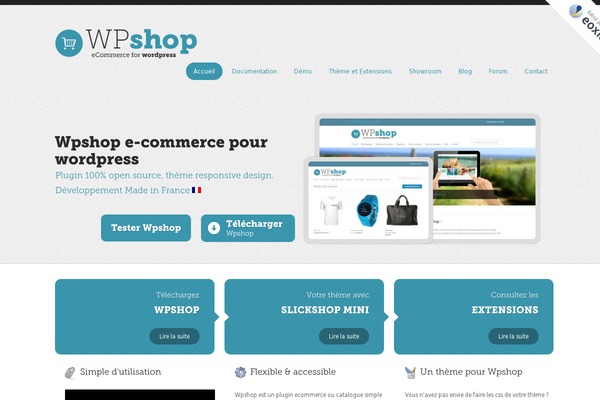 Site using Beflex-pro plugin