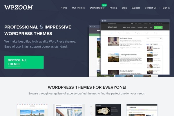 Wpzoom theme site design template sample