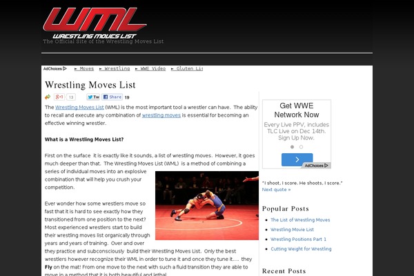 rtPanel theme site design template sample