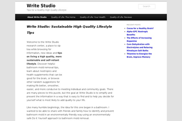 writestudio.com site used Ws-theme