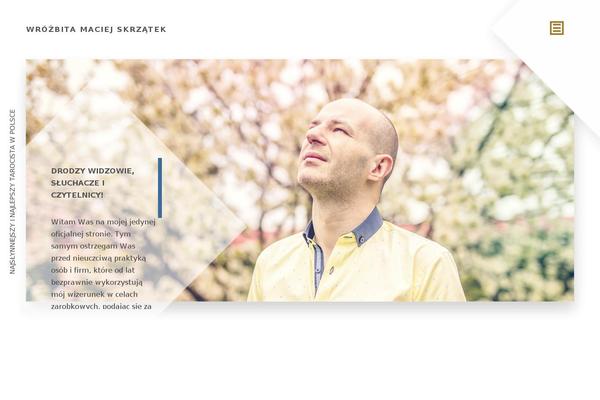 Internetmedia theme site design template sample