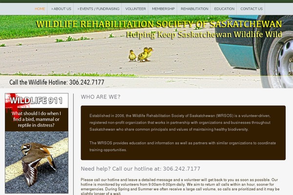 Twenty Eleven theme site design template sample