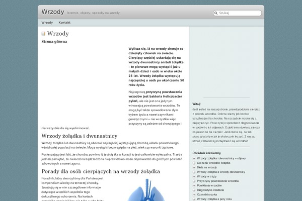Librio theme site design template sample