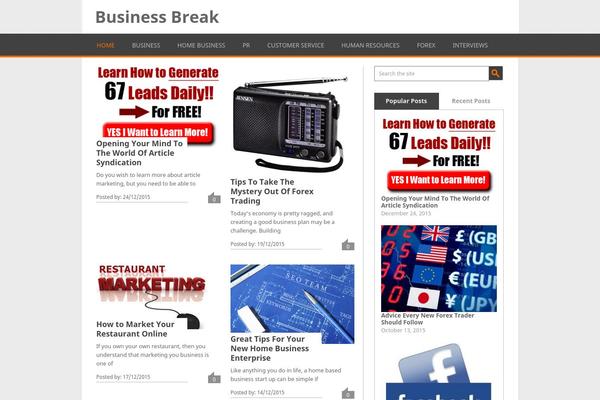 Playbook theme site design template sample