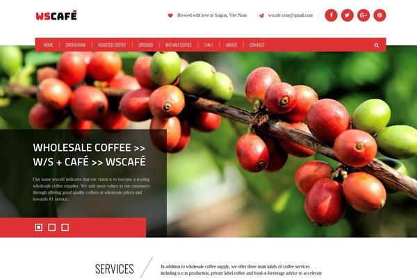 Site using Kopa Framework plugin