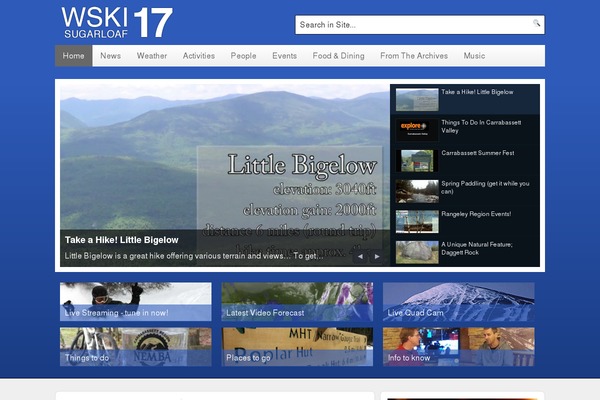 SnapWire theme site design template sample