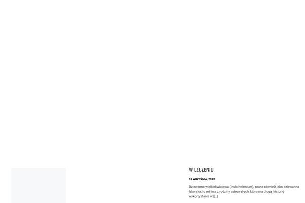 Minimal Grid theme site design template sample
