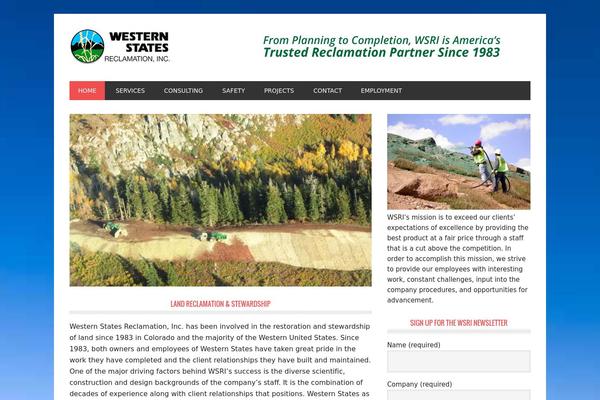 Metro Pro theme site design template sample