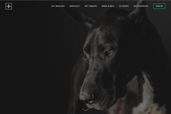 Elision theme site design template sample