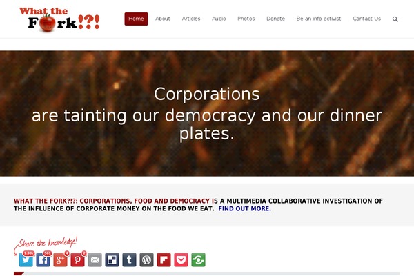 The7 theme site design template sample