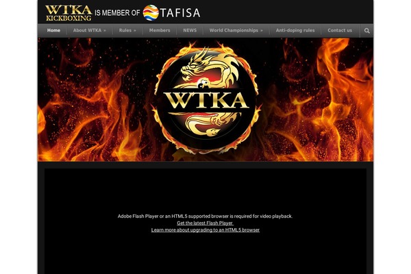 Modernize theme site design template sample