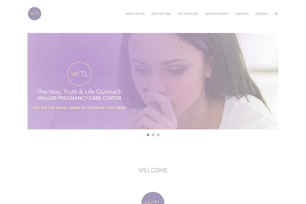 Mango theme site design template sample