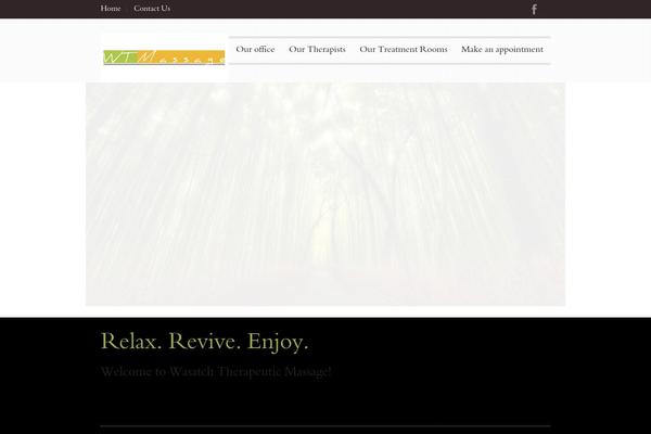 Duotive Three theme site design template sample