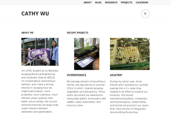 Edin theme site design template sample