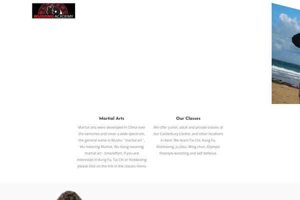 Wellspring theme site design template sample