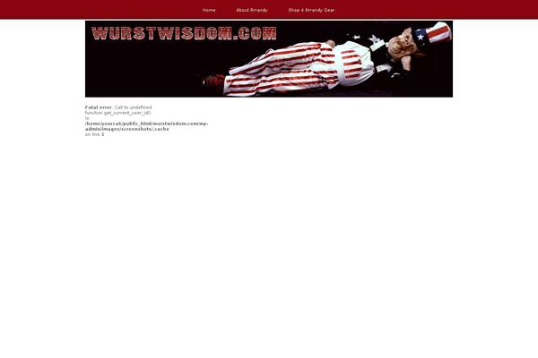 rockinbizred3col-11 theme websites examples