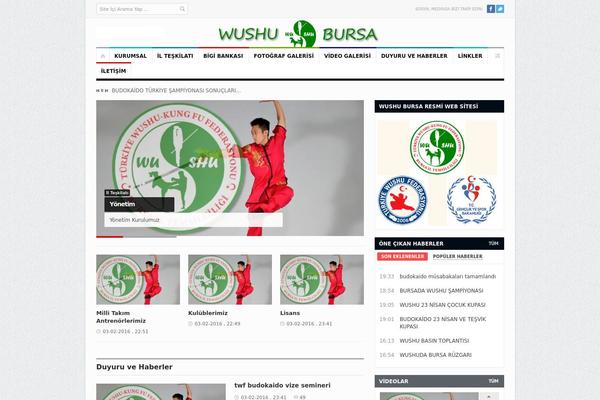 wushubursa.com site used StrapVert