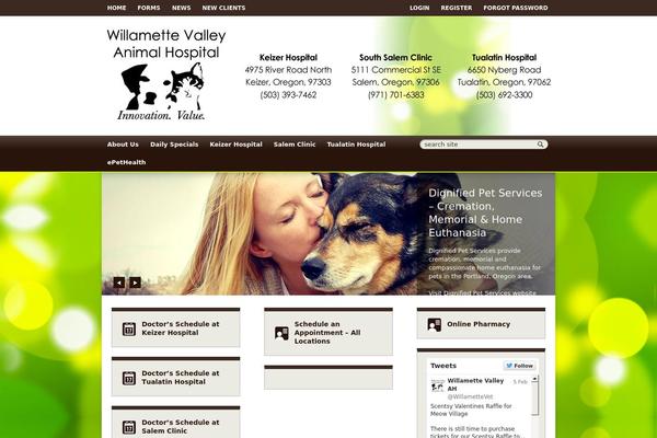 lifelearn WordPress theme, websites list used lifelearn theme lifelearn theme websites examples